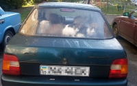 В Донецке мужчина запер в авто четырех голодных котов