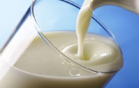 Молочные секреты: как выбрать натуральные продукты