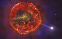 Астрономы обнаружили звезду, которой удалось пережить взрыв сверхновой