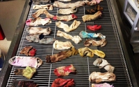 В США ветеринары достали из желудка собаки 43 носка