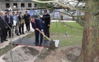 В Таджикистане засохла секвойя, посаженная президентом как символ вечности 