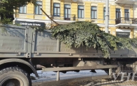 В Киеве начались подготовительные работы к установке главной елки страны