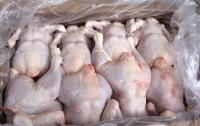 В Украине стремительно растет производство мяса птицы