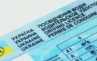 МВД запустило новый контроль водительских прав