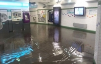 Масштабный ливень затопил улицы и метро в Париже