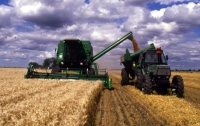 В Украине в 2011 году соберут на 20% меньше урожая зерна, чем в 2010 году