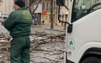 Ураган в Одессе повалил десятки деревьев