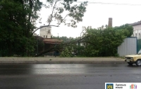 Непогода во Львове: повалены десятки деревьев и сорваны крыши с домов