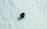 В Праге можно купить фрагмент челябинского метеорита