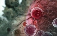 Ученые признали древнее китайское снадобье эффективным лекарством от рака