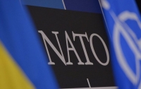 Вступление Украины в НАТО пока невозможно, - Ишингер