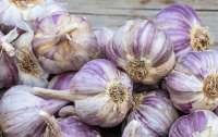 Цены на чеснок для украинцев установили абсолютный рекорд и падать не будут