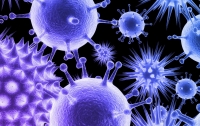 На Днепропетровщине зафиксирован новый опасный вирус