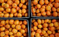 Врачи назвали безопасное для здоровья количество мандаринов