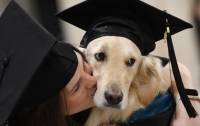 Собака-поводырь получила степень магистра