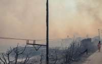 З грецького острова Родос через лісові пожежі евакуювали 20 тис. людей