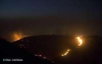 В Израиле из-за аномальной жары бушуют пожары