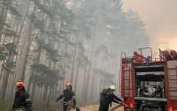 Леса в Луганской области могли поджечь умышленно, - Луганская ВГА