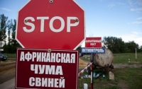 В Украине количество вспышек АЧС подходит к сотне