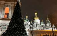 На головній ялинці країни запалили вогні (відео)