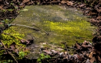 Похоронили заживо: в Украине найдена загадочная могила влюбленных