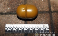 Полиция Киева задержала прохожего с гранатой в кармане