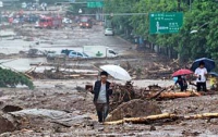 В Южной Корее продолжает расти число жертв оползней