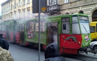 Во Львове на ходу загорелся трамвай с пассажирами (видео)