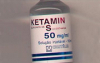 Из-за запрета кетамина ветбольницы не могут проводить операции животным 