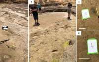 На пляже в Марокко обнаружили следы, которым 90 тысяч лет (фото)