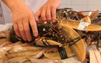 Япония предупредила о возможном заражении морепродуктов