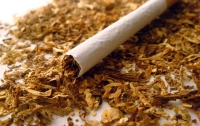 Депутаты хотят запретить продажу «табака орального потребления»