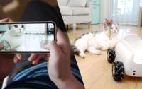 Xiaomi создала роботическую сиделку для животных