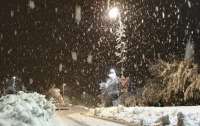 Сугробы до четырех метров: на Грузию обрушился аномальный снегопад