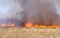 Под Полтавой произошел масштабный пожар