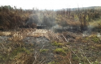 В Полтавской области не могут потушить торфяной пожар на площади 6,3 га