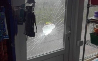 В Киевской области подросток под кайфом устроил погром в магазине