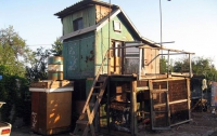 Семья на Луганщине в курятнике держала в рабстве мужчину (ФОТО)