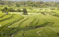 Индонезия потеряла часть суши размером со столицу за 15 лет