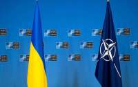 Членство Украины в НАТО: в Минобороны сделали заявление
