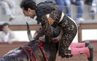 Бешенный бык поднял на рога матадора (ФОТО)