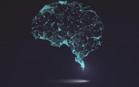 Штучний інтелект навчили розпізнавати окремі слова по активності в корі головного мозку