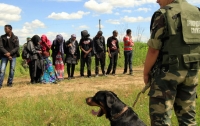 На Закарпатье задержали нелегалов