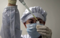 В Японии обнаружен вирус «свиного гриппа»