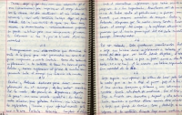 В интернет выложена рукопись дневника Че Гевары