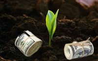 Рынок земли сильно поспособствует росту украинской экономики