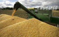 Украина почти выполнила план по сбору урожая