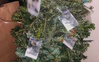 Ялинка з наркотиками: у Києві у іноземця виявили ялинкові прикраси з психотропами
