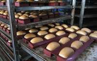 В Украине резко выросли цены на хлеб