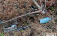 Пішов по гриби, натрапив на зброю: на Житомирщині цивільний виявив склад боєприпасів рф
